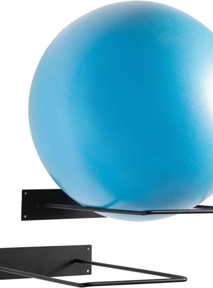 Metal Wire Wall Mounted Yoga Ball Storage Rack, Sport Gym Studio Exercise Equipment Holder for Large Stability Balls, Set of 4